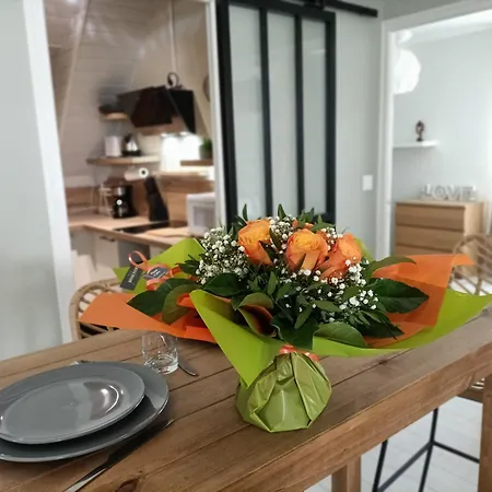 Confort * Laval (Mayenne)